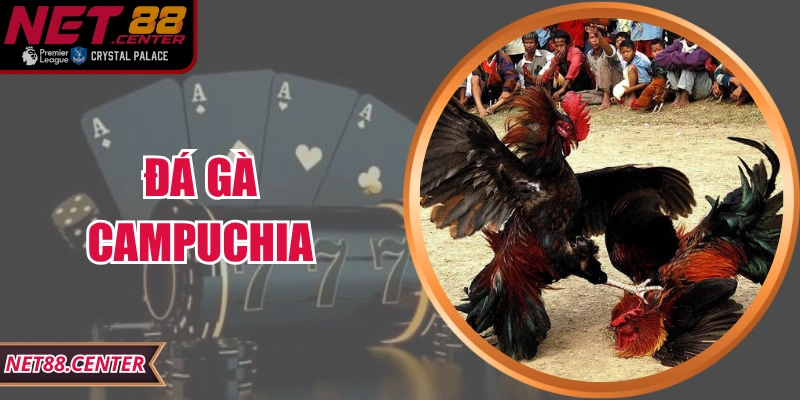 Đá Gà Campuchia Net88 – Trải Nghiệm Đỉnh Cao Kịch Tính