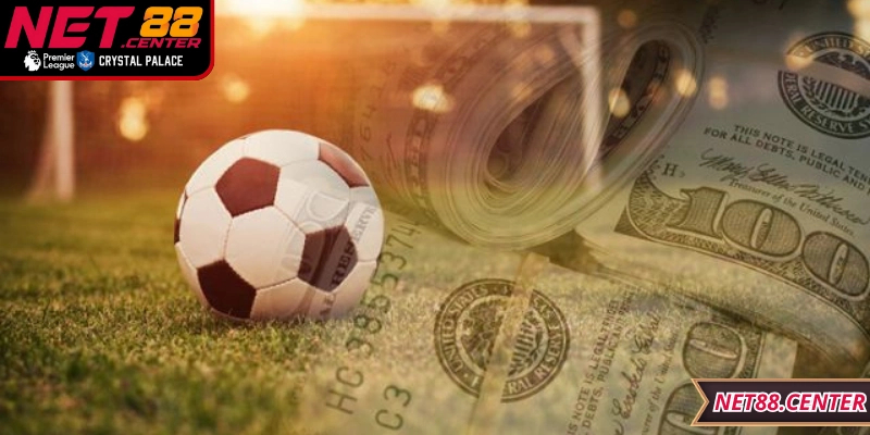 Hiểu rõ các loại phổ biến giúp người chơi đưa ra lựa chọn